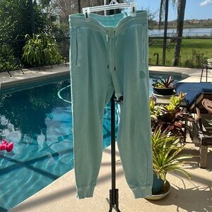 North Face Pants Women's medium sea foam blue green Sweatpants Joggers nwot